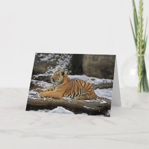 Festiva El tigre Cub perfila la tarjeta del día de fiesta