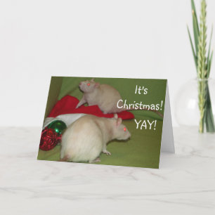 Festiva ¡Es navidad! tarjeta