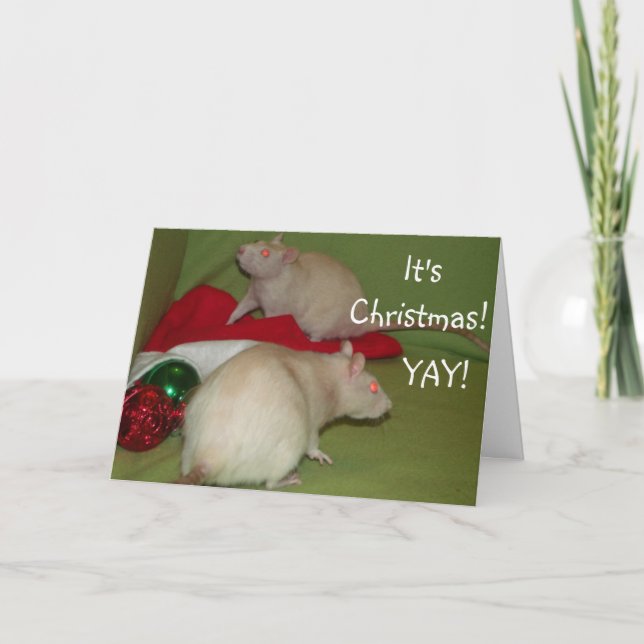 Festiva ¡Es navidad! tarjeta (Anverso)