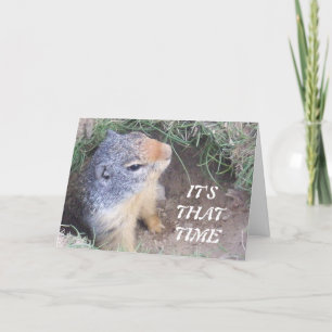 Festiva Es tarjeta del día de ese Groundhog feliz del vez