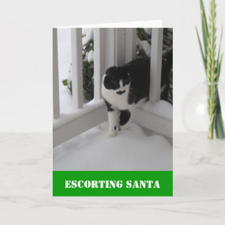 Festiva Escolta de la tarjeta de Santa por el gato de