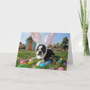 Festiva ¡Ése es ALGÚN conejito! Tarjeta de Lola B. Boston
