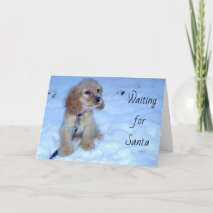 FESTIVA ESPERANDO LA TARJETA DE NAVIDADES SANTA