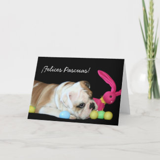 Festiva ¡¡Felices Pascuas! tarjeta de bulldog Ingles