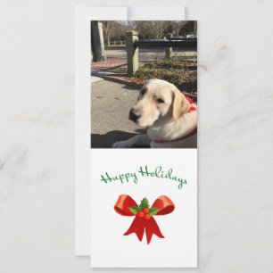 Festiva Felices vacaciones overlay - Tarjeta fotográfica d