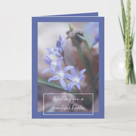 Festiva Felicitaciones de Pascua - Chionodoxa - Tarjeta