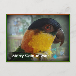 Festiva ¡Feliz Caique-Mas! Postal