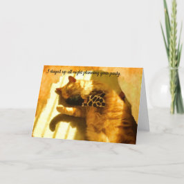 Festiva Feliz cumpleaños, tarjeta de gato humorístico