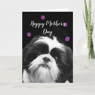 Festiva Feliz Día de la Madre Tarjeta de saludo Shih Tzu