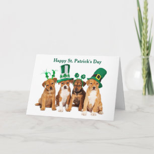 Festiva Feliz día de San Patricio Perros Tarjeta de vacaci