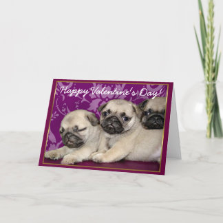 Festiva Feliz Día de San Valentín cachorros tarjeta de bie