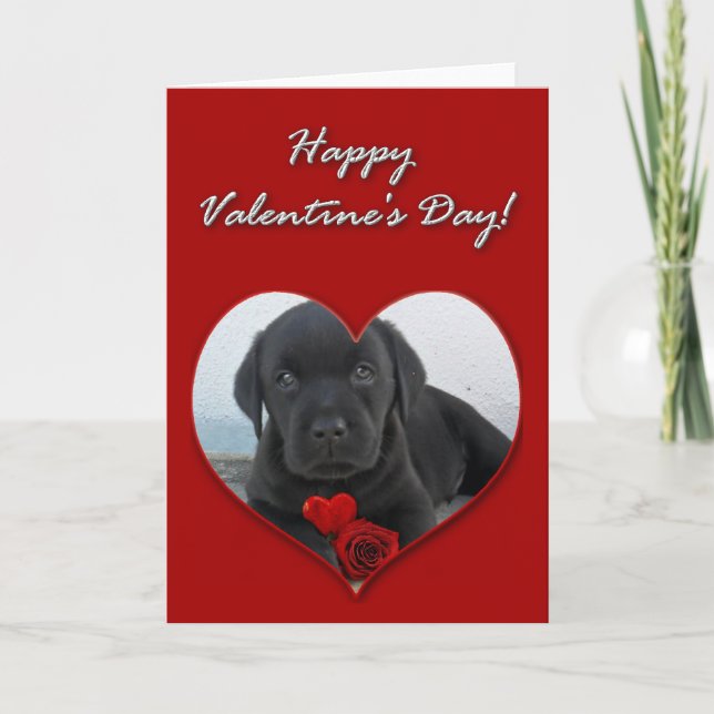 Festiva Feliz Día de San Valentín Labrador tarjeta de cach (Anverso)