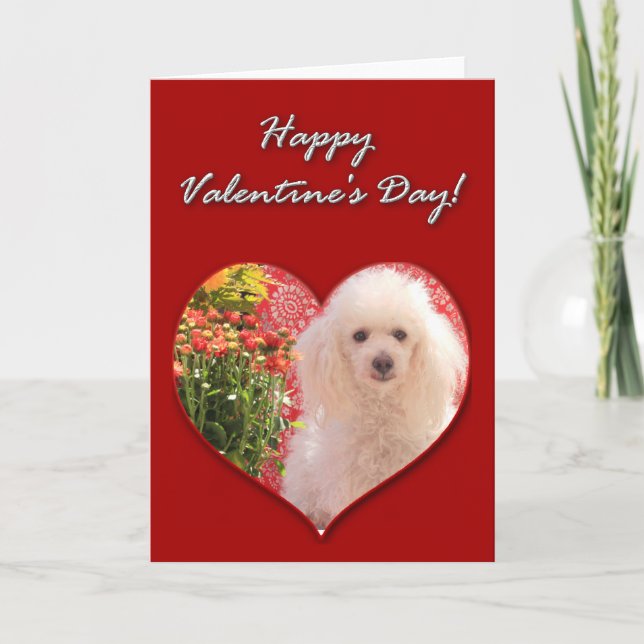 Festiva Feliz día de San Valentín Tarjeta de Caniche (Anverso)