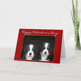 Festiva Feliz Día de San Valentín tarjeta de perro de mont