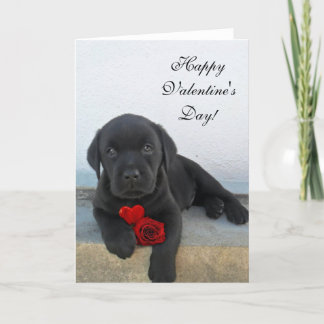 Festiva Feliz Día de San Valentín, tarjeta de perro Labrad