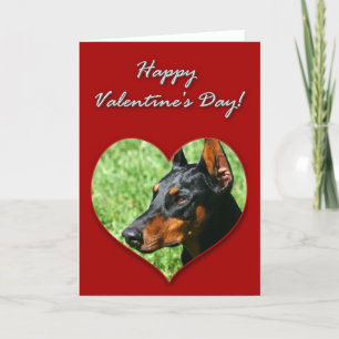 Festiva Feliz Día de San Valentín tarjeta Doberman Pinsche