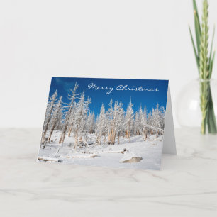 Festiva Feliz Navidad, árboles nevados, tarjeta de vacacio