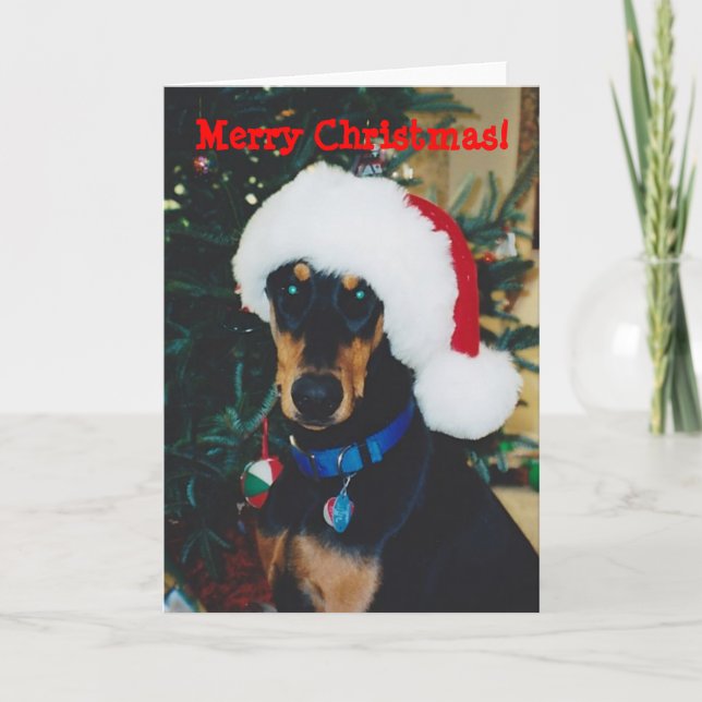 Festiva Feliz Navidad! Tarjeta de felicitación Doberman (Anverso)
