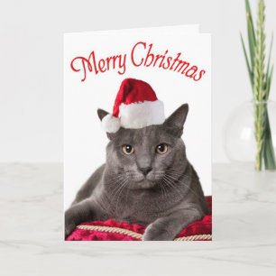 Festiva Feliz Navidad, tarjeta de Navidades gatos