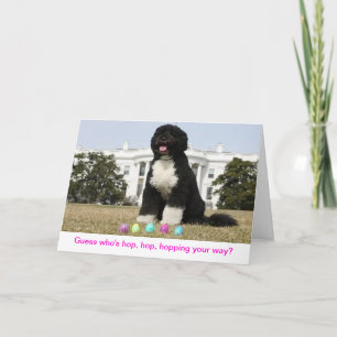 Festiva Feliz Pascua - Tarjeta de saludo de Bo Obama