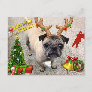 Festiva Feliz postal Machi de X'mas