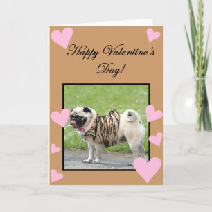 Festiva Feliz tarjeta de bienvenida de San Valentín Pug