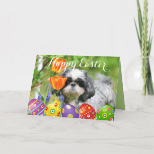 Festiva Feliz tarjeta de felicitación al Chica Shih Tzu