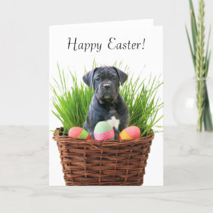 Festiva Feliz tarjeta de felicitación de Cañón de Pascua