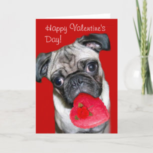 Festiva Feliz tarjeta de felicitación de pug de San Valent
