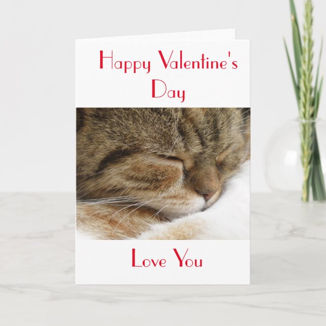 Festiva Feliz tarjeta de gato de San Valentín (Anverso)