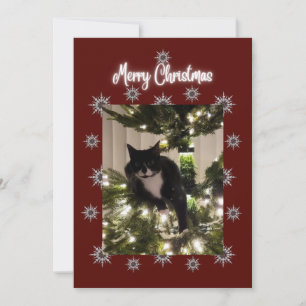 Festiva Feliz tarjeta navideña con un gato de Tuxedo en mi