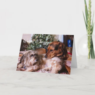Festiva Fiestas cálidas y difusas - Tarjeta de perro lindo