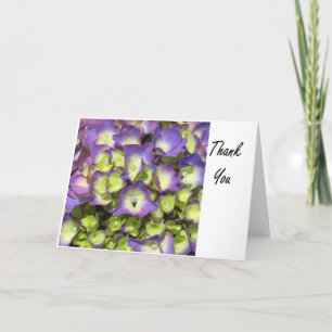 Festiva Flor morada y amarilla Gracias tarjeta