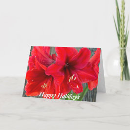 Festiva Fotografía roja del amaryllis en tarjeta de