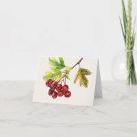 Frutos de espino de oro arte fino tarjeta de caída