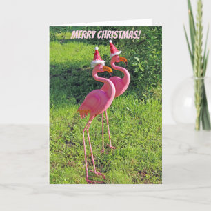 Festiva Fun Flamingo Navidades Tarjeta de Saludo!