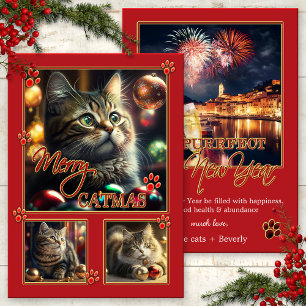 Festiva Fun Red Cat Photo Navidades Tarjeta de Año Nuevo