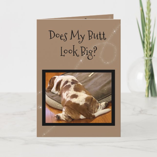 Festiva Funny tarjeta de cumpleaños "Big Butt" Basset Houn (Anverso)