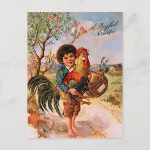 Festiva Gallo antiguo del muchacho de Pascua de la postal