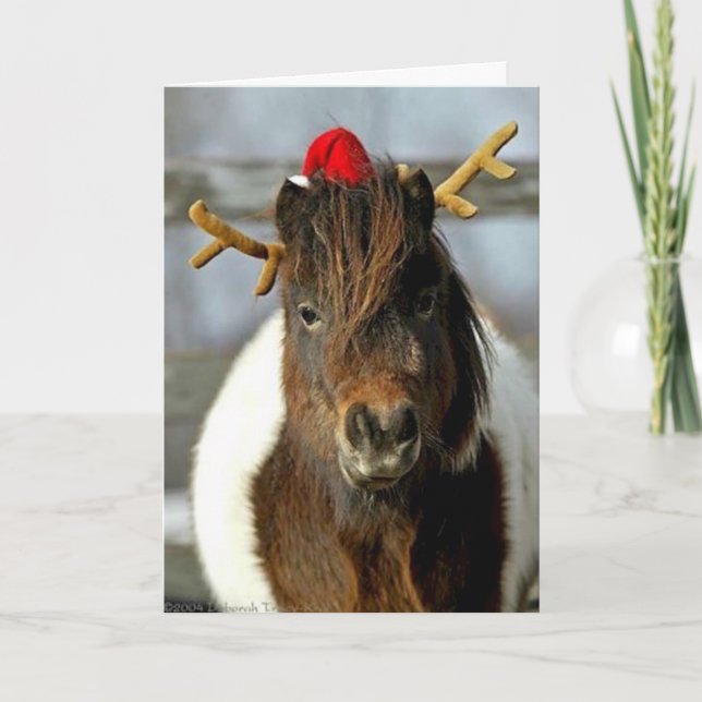 Festiva Ganador del lugar de la foto de la tarjeta de (Anverso)