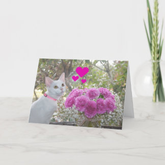 Festiva Gatito blanco y tarjeta del día de San Valentín