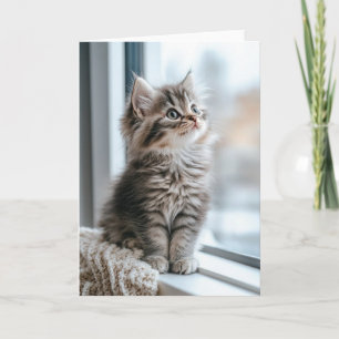 Festiva Gatito cerca de la ventana Tarjeta de vacaciones d