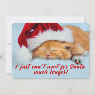 Festiva Gatito durmiente con tarjeta de dos caras de Santa