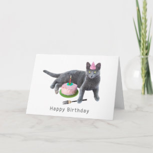 Festiva Gato con tarjeta de cumpleaños para pasteles