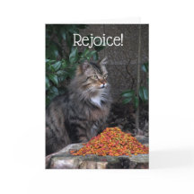 Gato con una tarjeta del milagro de Pascua