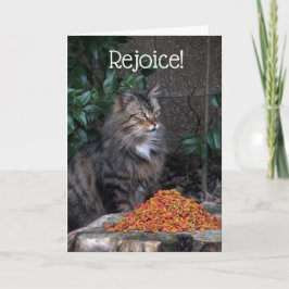 Festiva Gato con una tarjeta del milagro de Pascua