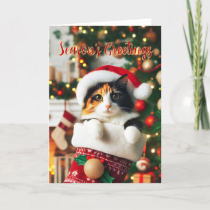 Festiva Gato de Calico en una tarjeta de Navidades