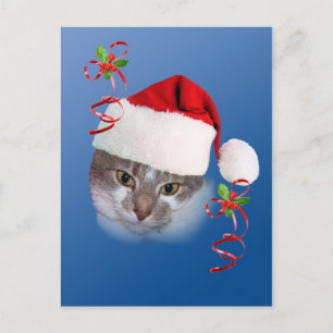 Festiva Gato en postal de Santa Hat