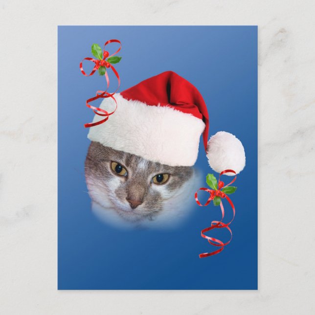 Festiva Gato en postal de Santa Hat (Anverso)