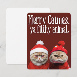 Festiva Gatos divertidos de Santa Tarjeta de saludo navide